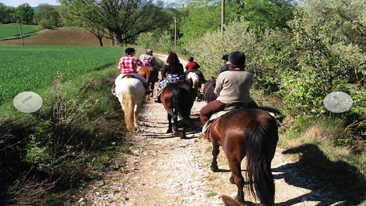 Photo of Outdoor in Lauris