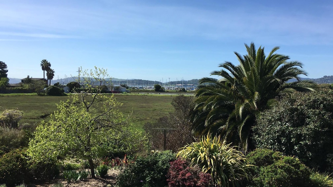 Photo of Others in San Rafael