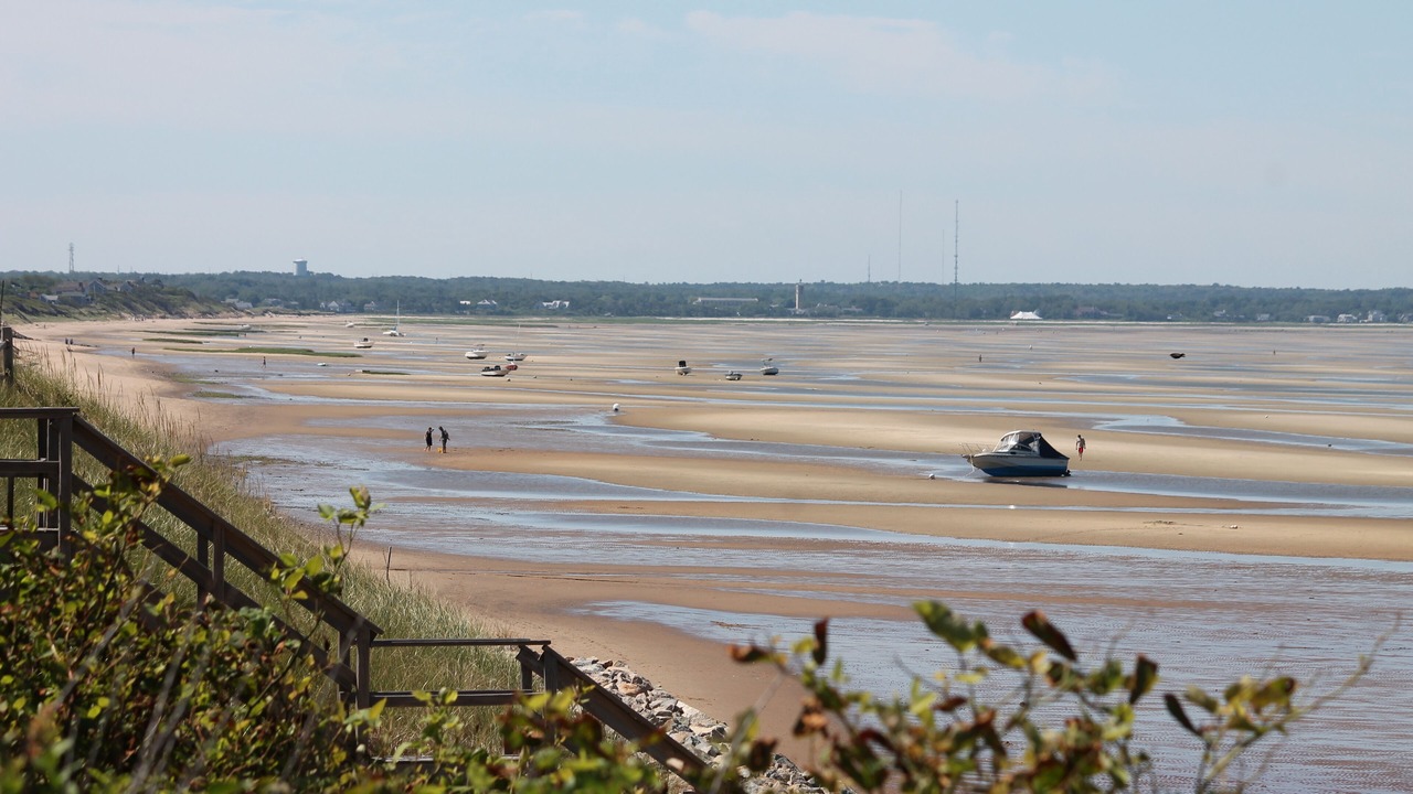 Photo of Others in Campground Landing