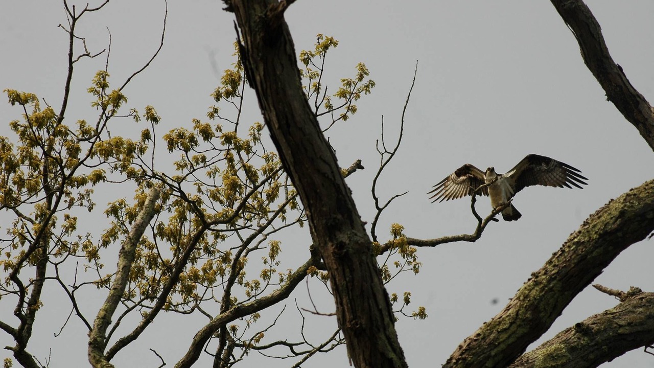 Photo of Others in Mattituck
