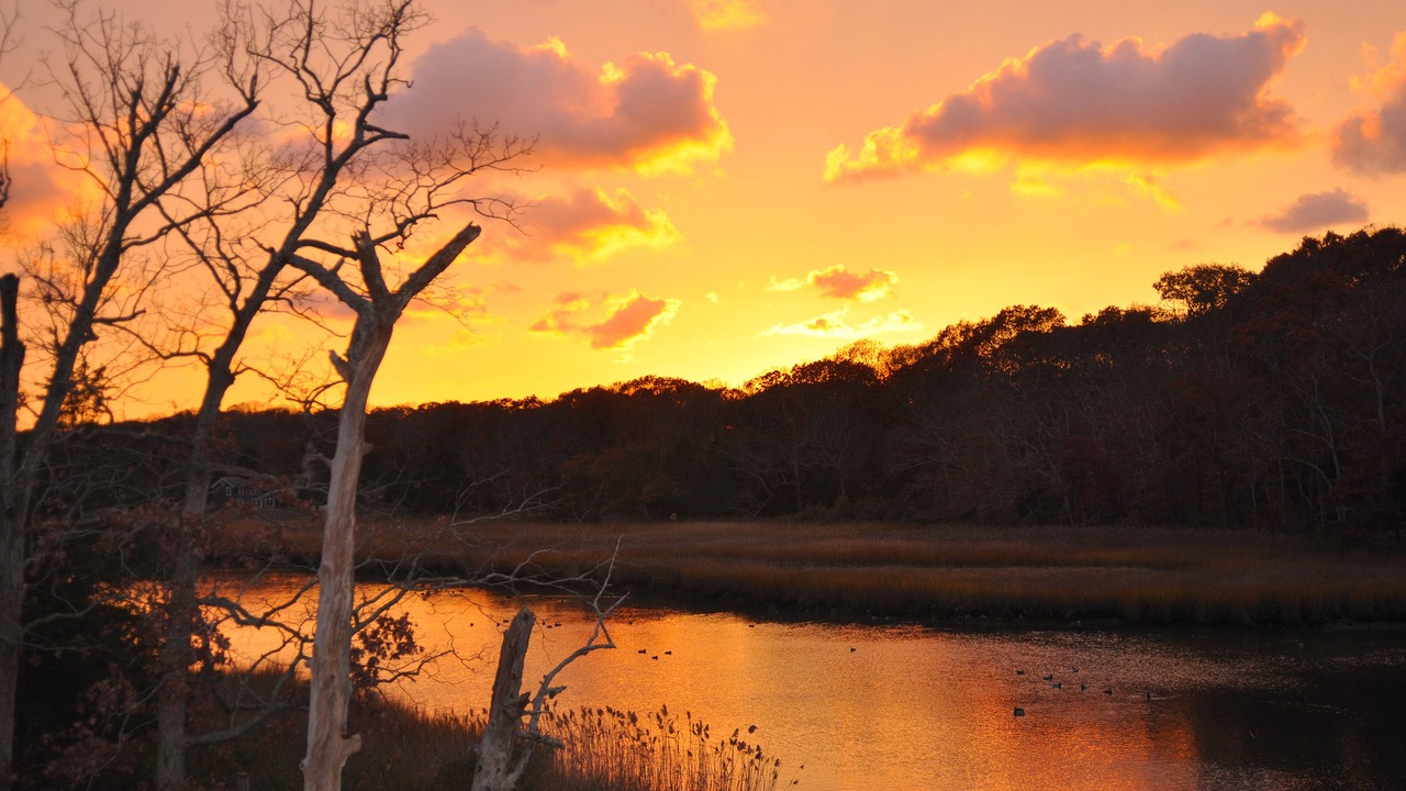 Photo of Others in Mattituck