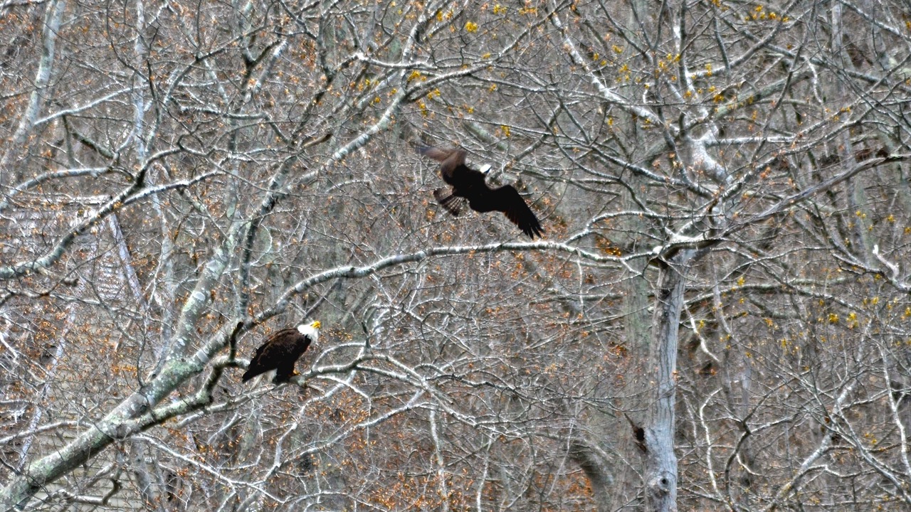 Photo of Others in Mattituck