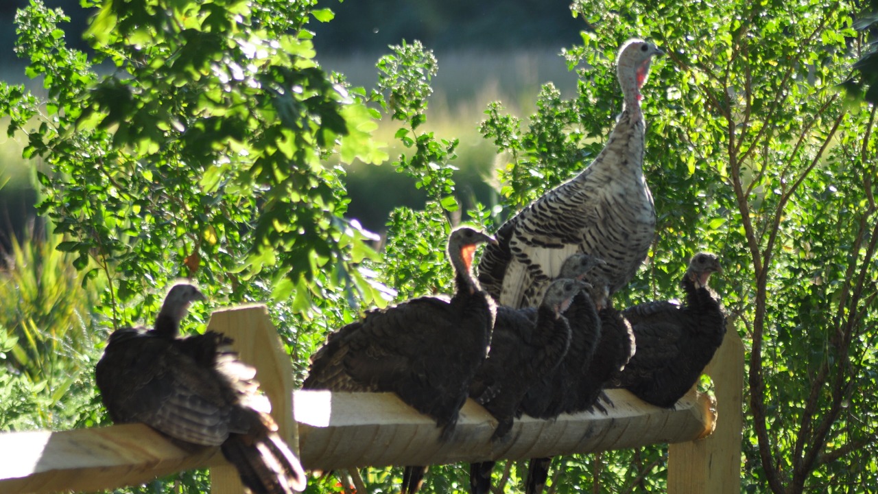 Photo of Others in Mattituck