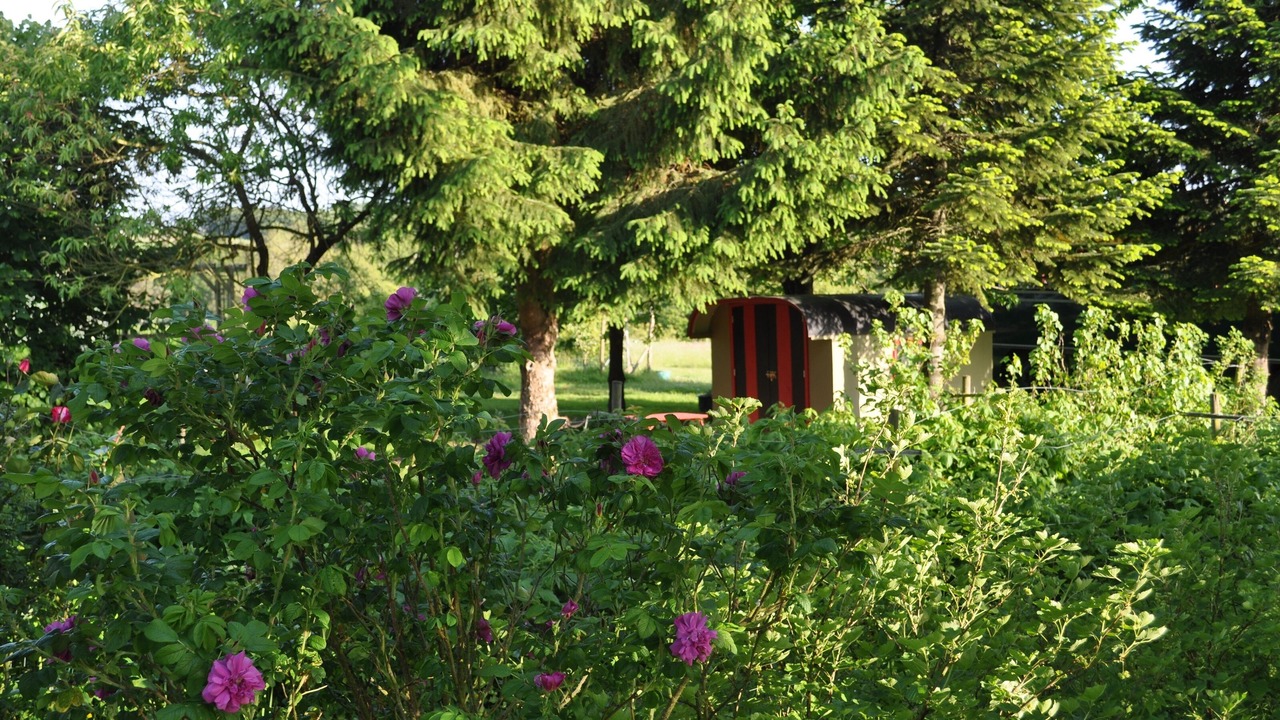 Photo of Outdoor in Chambourg-sur-Indre