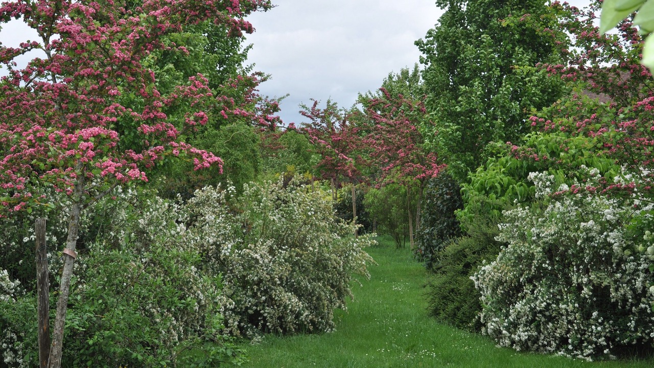 Photo of Outdoor in Chambourg-sur-Indre