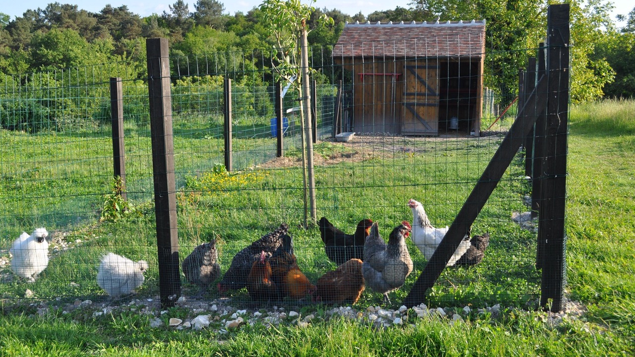 Photo of Outdoor in Chambourg-sur-Indre