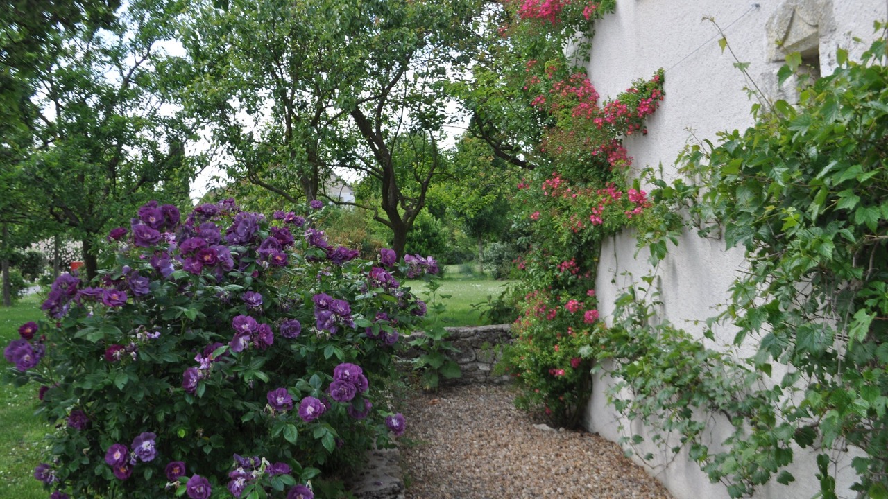 Photo of Outdoor in Chambourg-sur-Indre