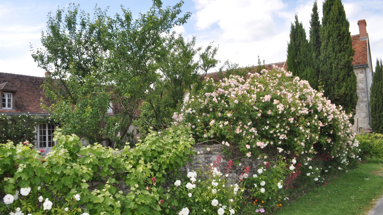 Photo of Outdoor in Chambourg-sur-Indre