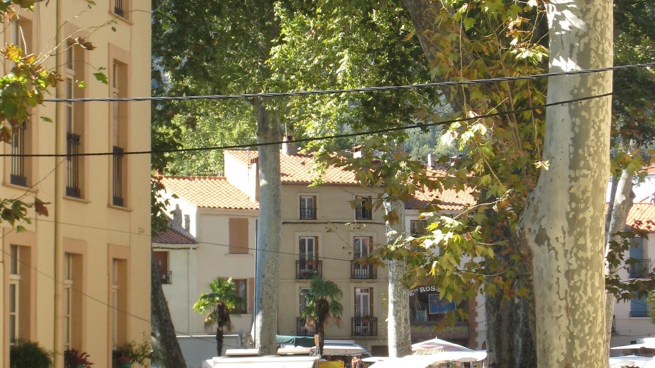 Photo of Others in Ceret