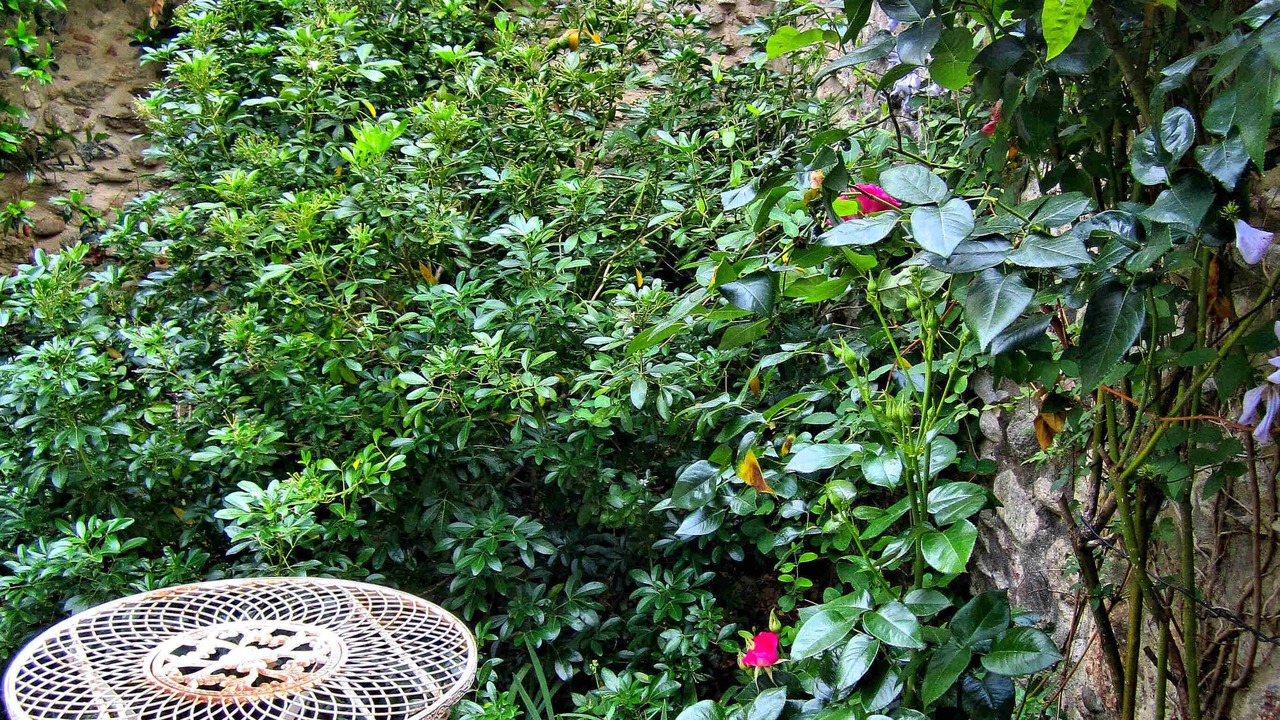Photo of Patio Balcony in Ceret