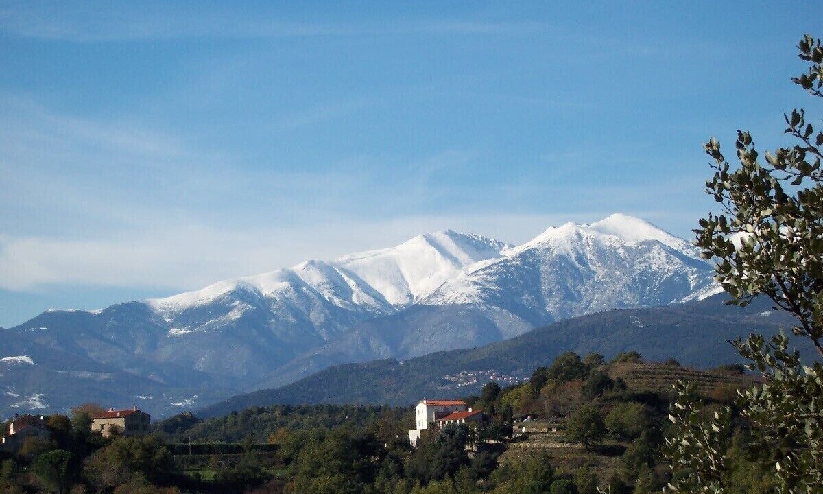 Photo of Others in Ceret