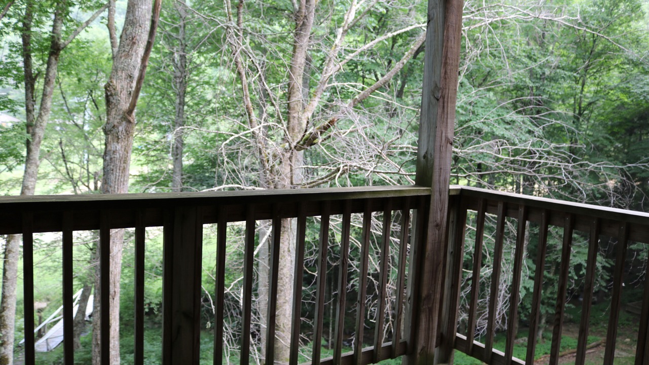 Photo of Outdoor in Sugar Mountain
