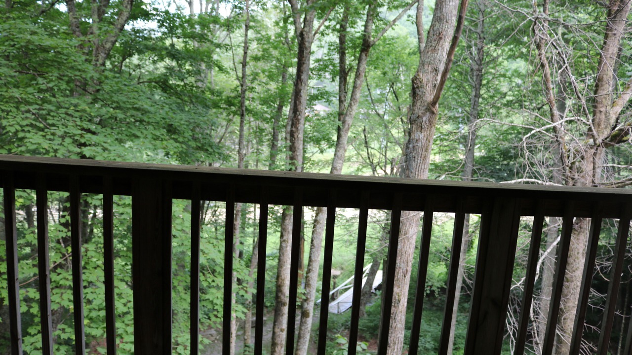 Photo of Outdoor in Sugar Mountain