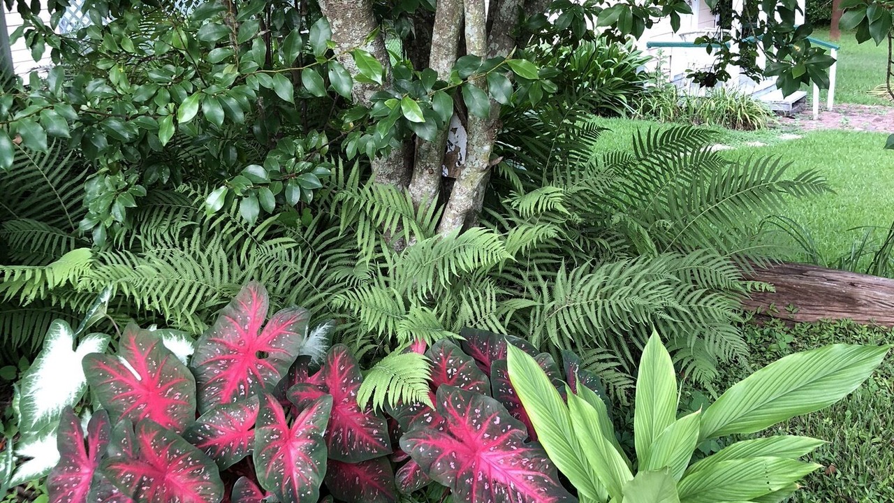 Photo of Outdoor in Natchez