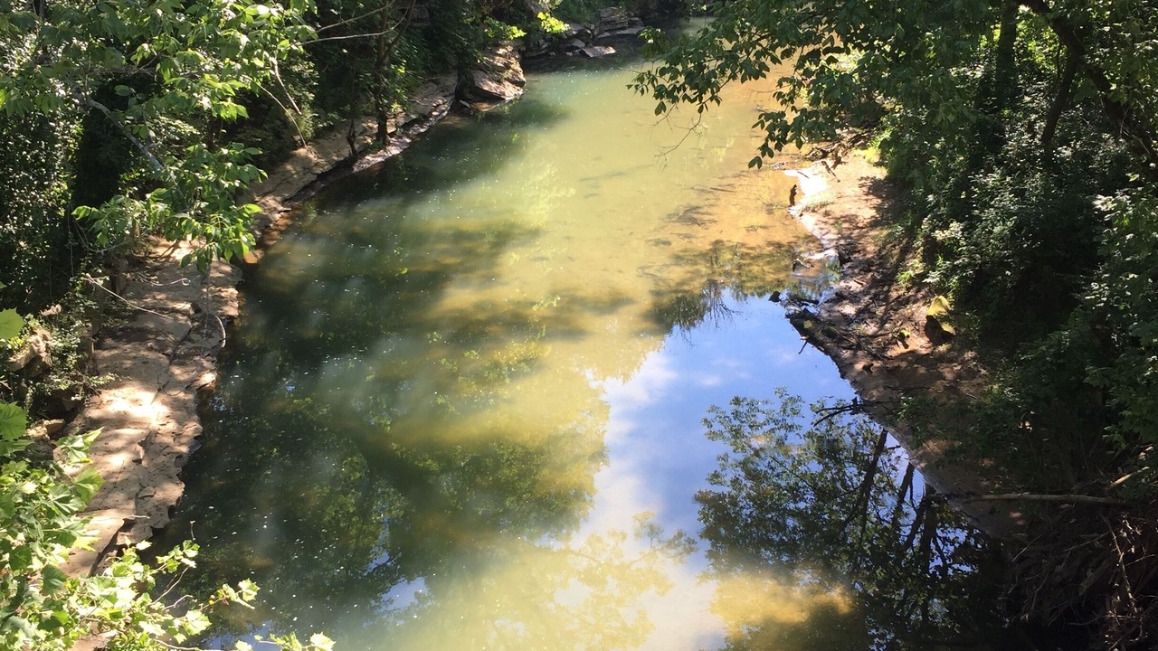 Photo of Outdoor in Sparta