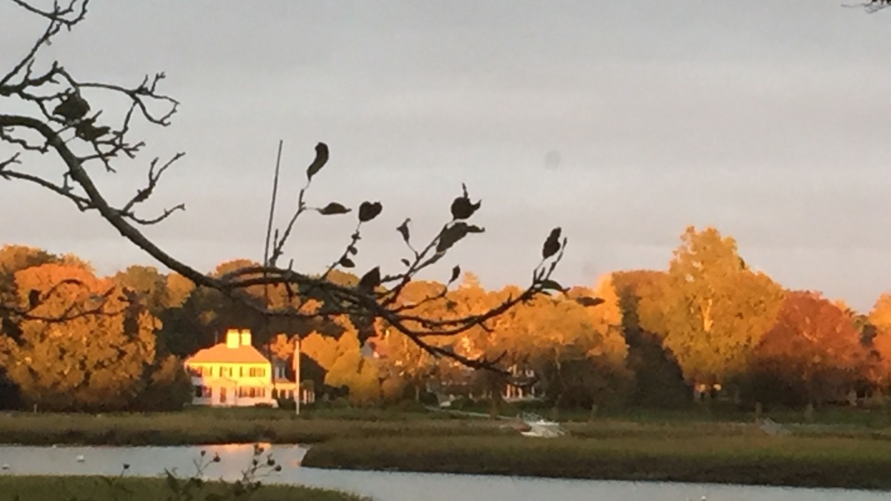 Photo of Others in Duxbury