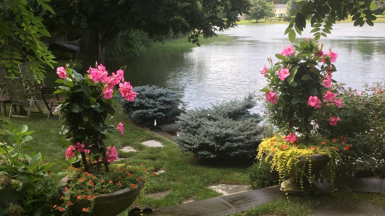 Photo of Outdoor in Duxbury