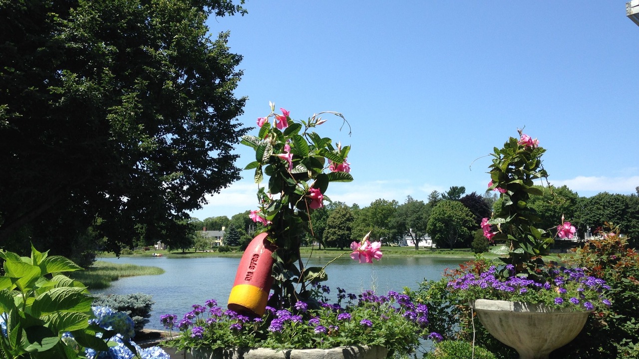 Photo of Outdoor in Duxbury