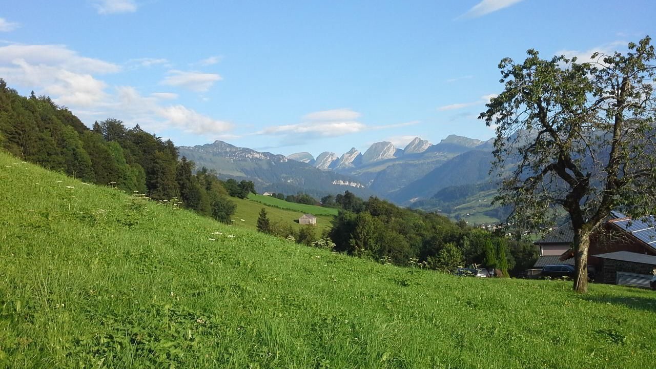 Photo of Others in Krummenau