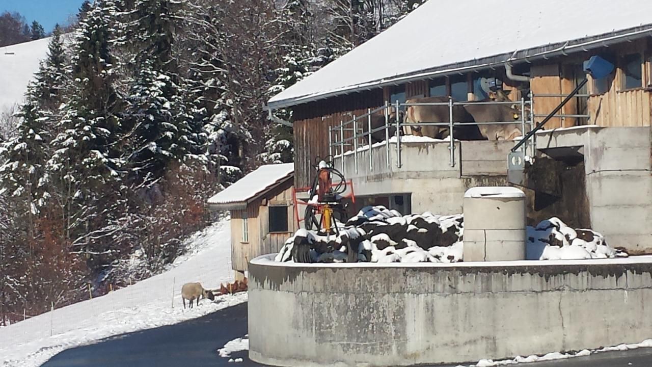 Photo of Others in Krummenau