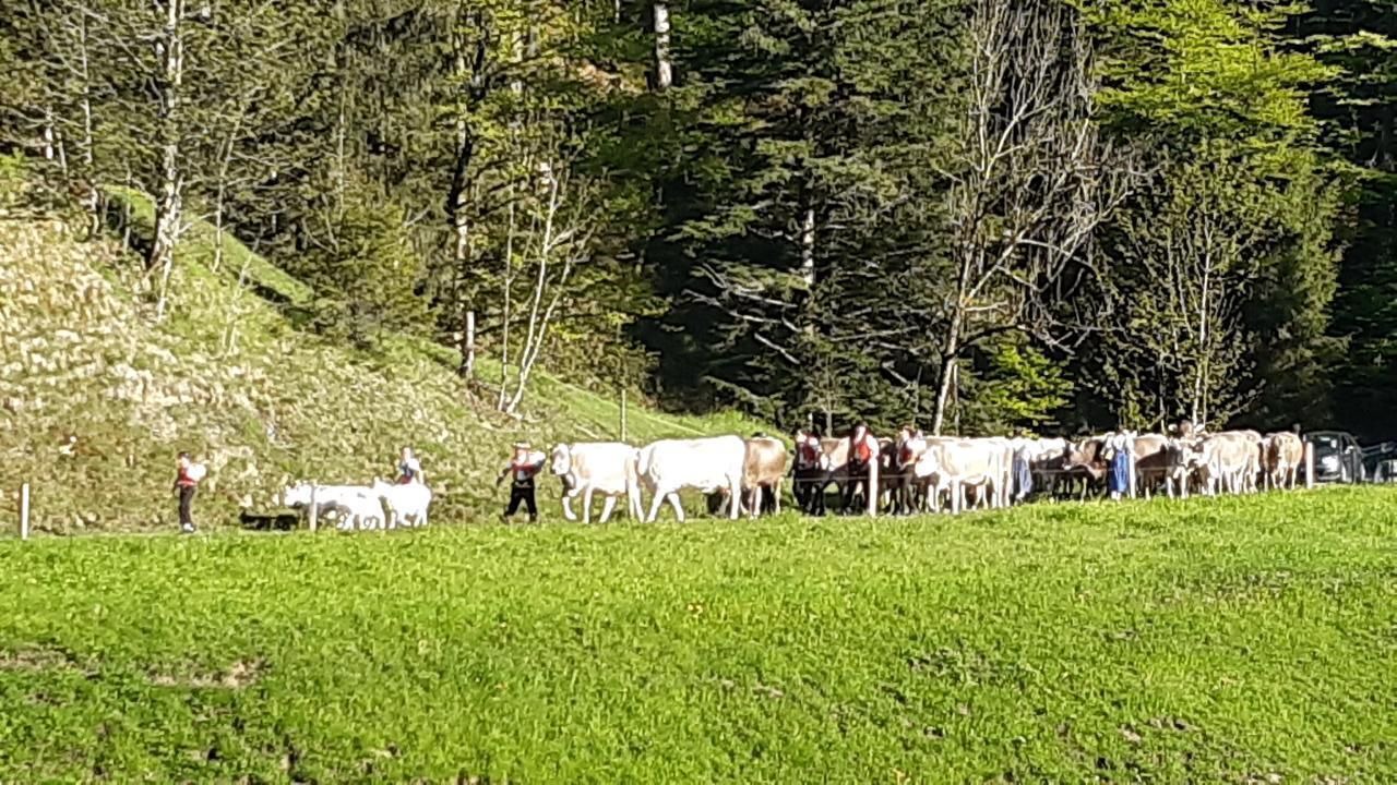Photo of Others in Krummenau