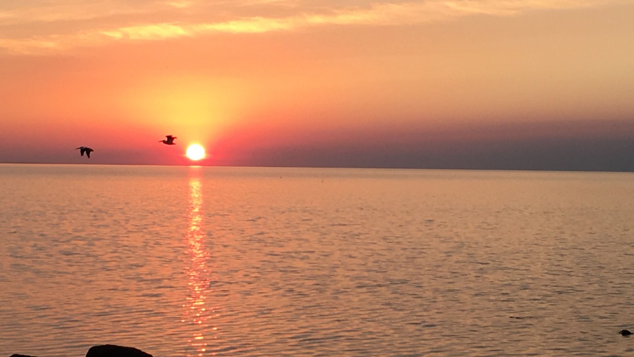 Photo of Others in Grand Beach