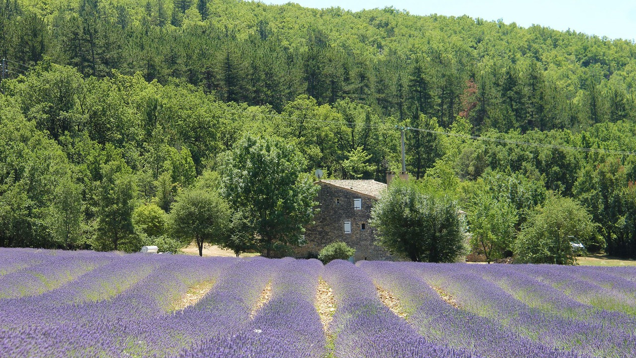 Photo of Others in Banon