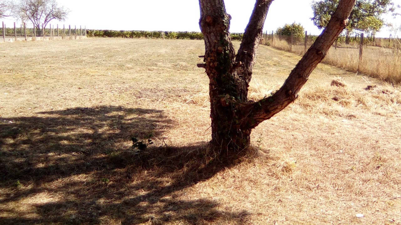 Photo of Outdoor in Pouilly-sur-Loire