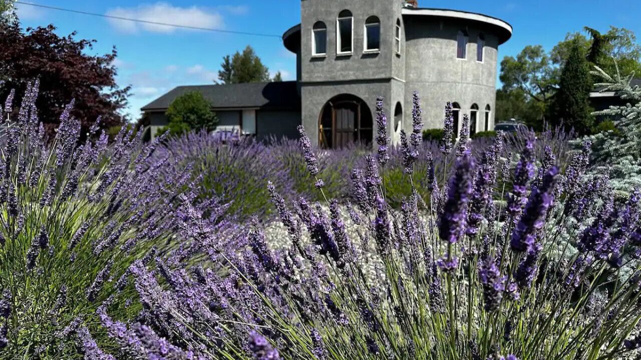 Photo of Outdoor in Sequim