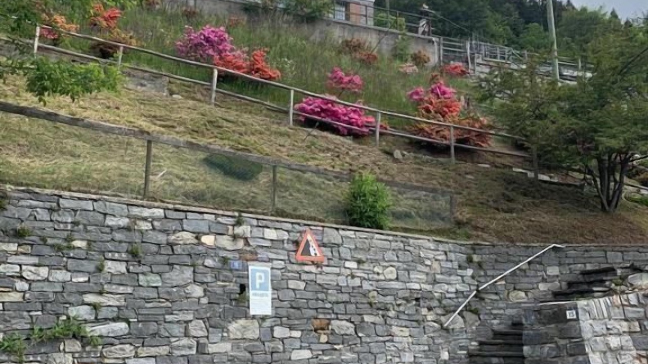 Photo of Others in Locarno