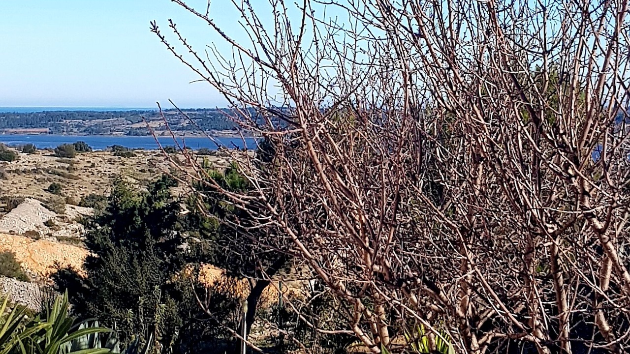 Photo of Outdoor in Fitou