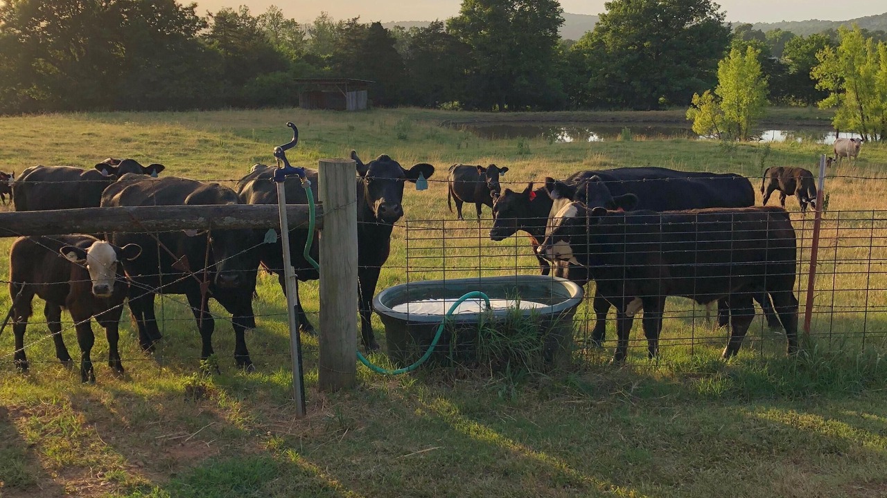 Photo of Others in Fayetteville