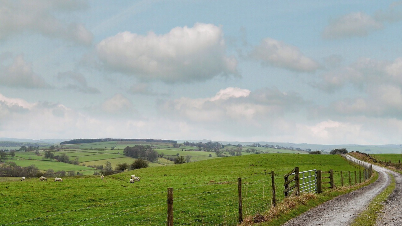 Photo of Others in Longnor