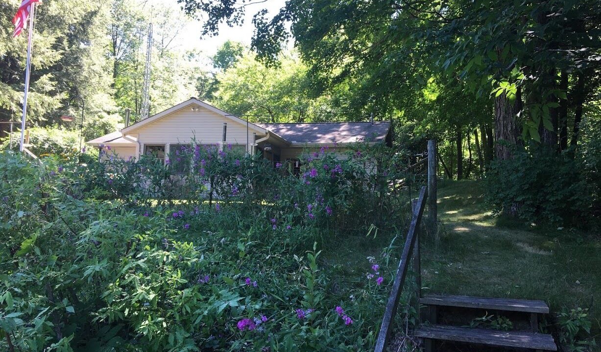 Photo of Outdoor in Newaygo