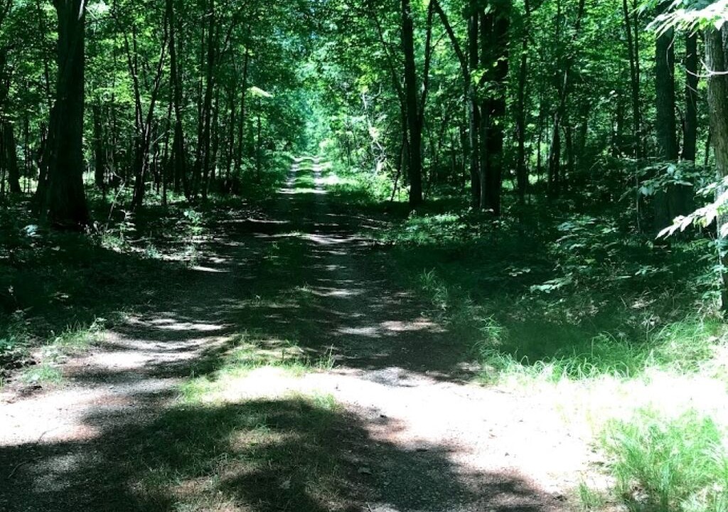 Photo of Outdoor in Newaygo