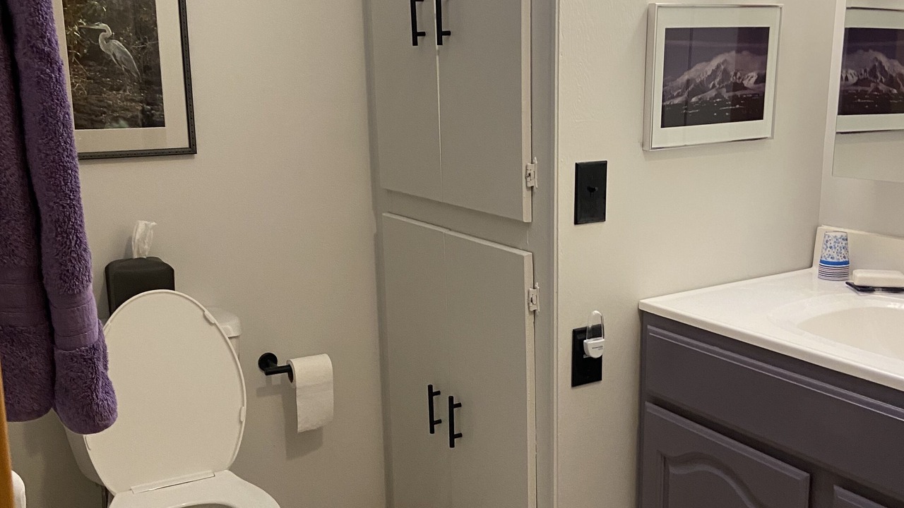Photo of Bathroom in Newaygo