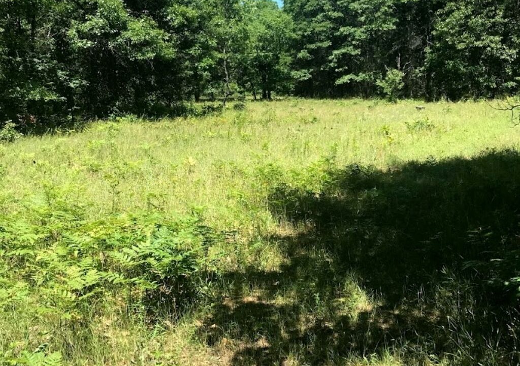 Photo of Outdoor in Newaygo