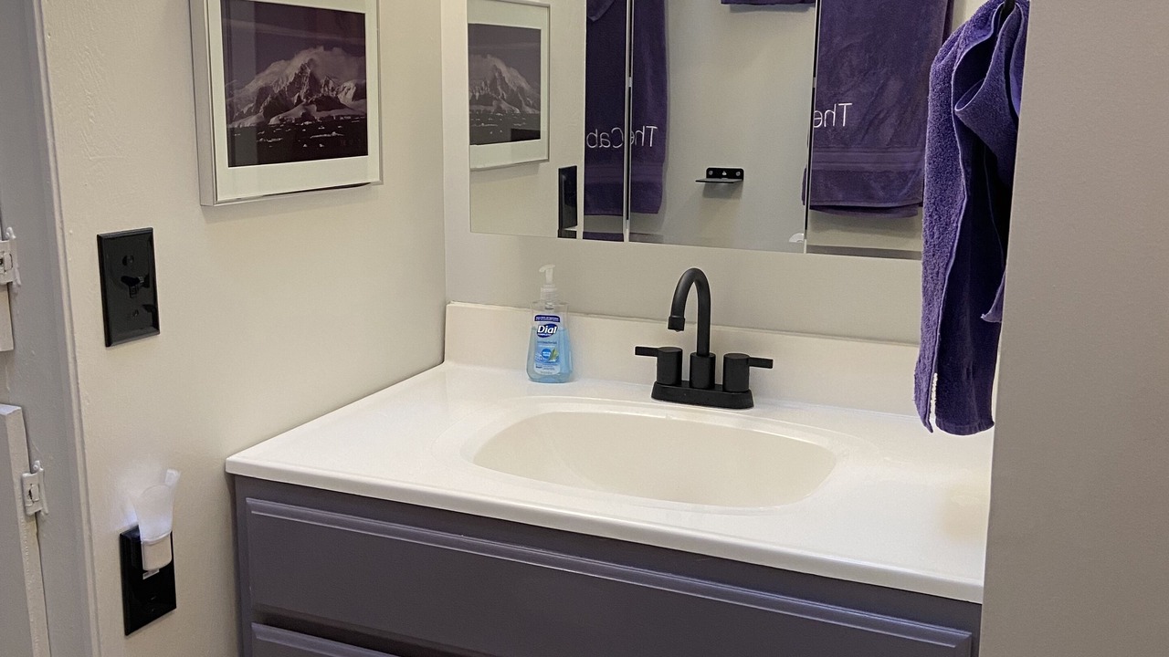 Photo of Bathroom in Newaygo