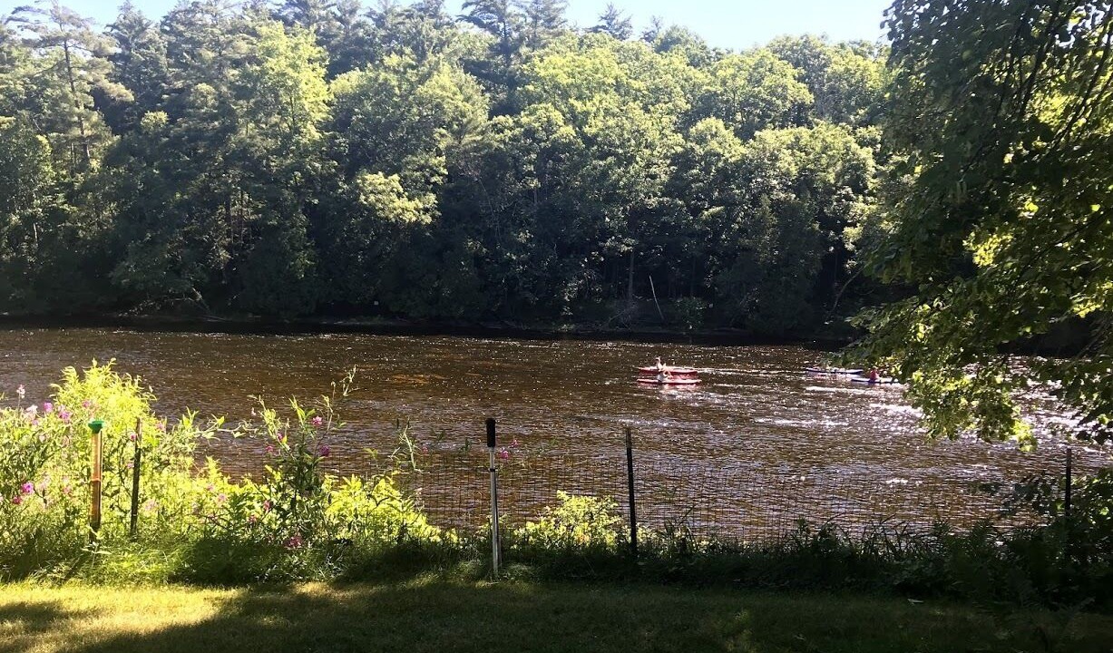 Photo of Outdoor in Newaygo