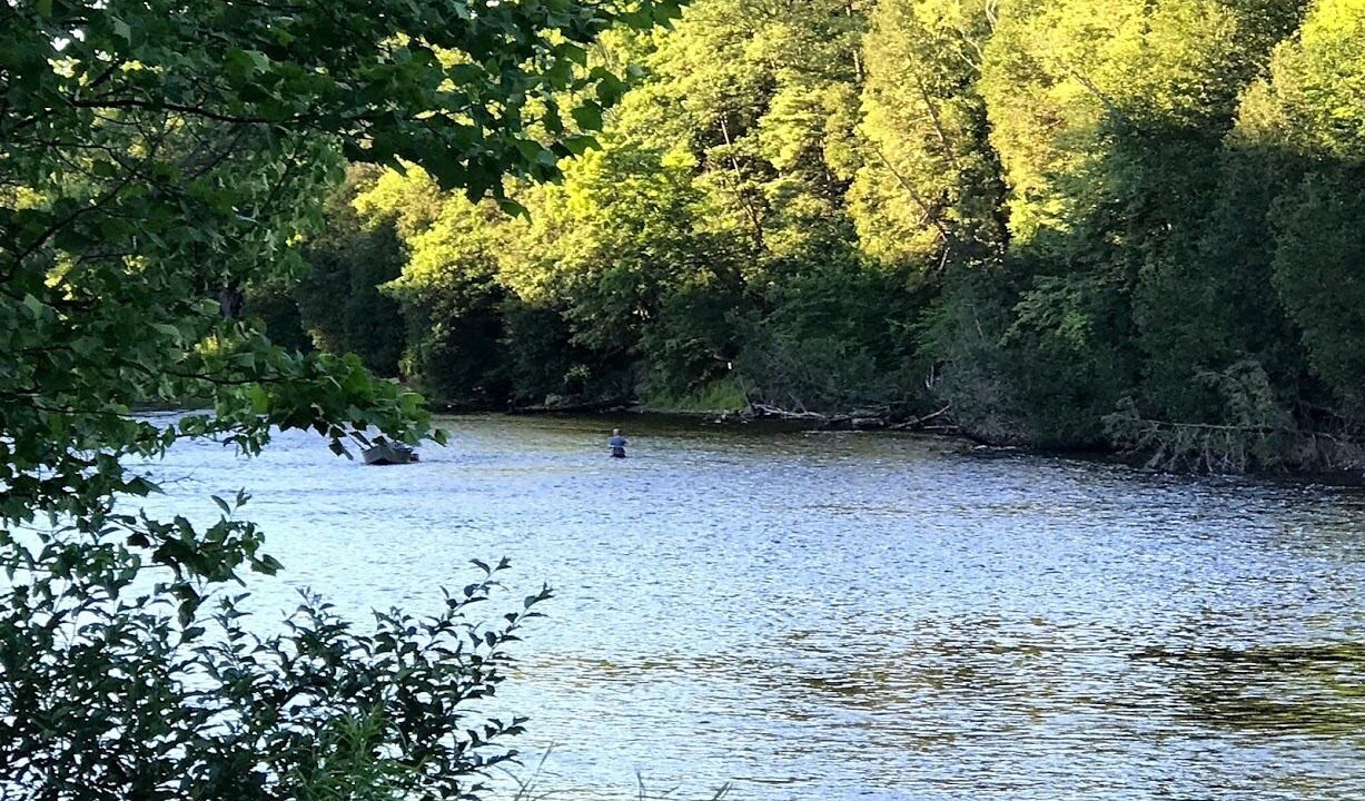 Photo of Others in Newaygo