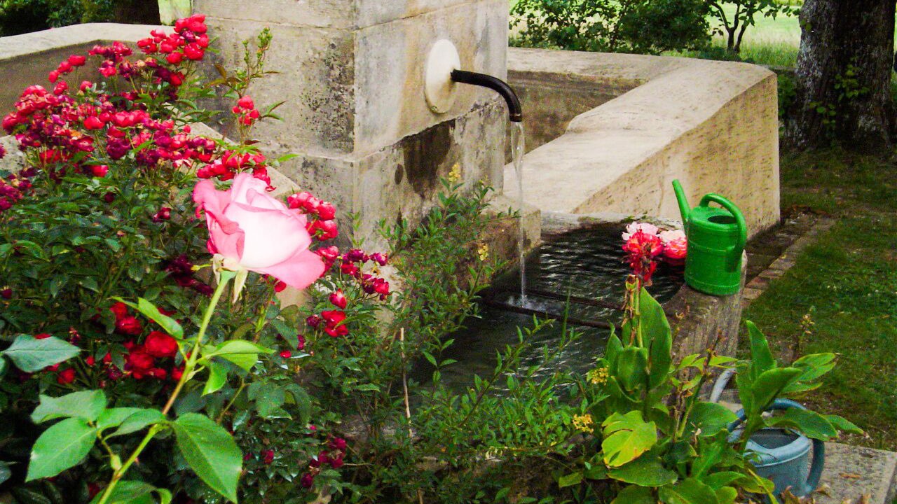 Photo of Outdoor in Cruis