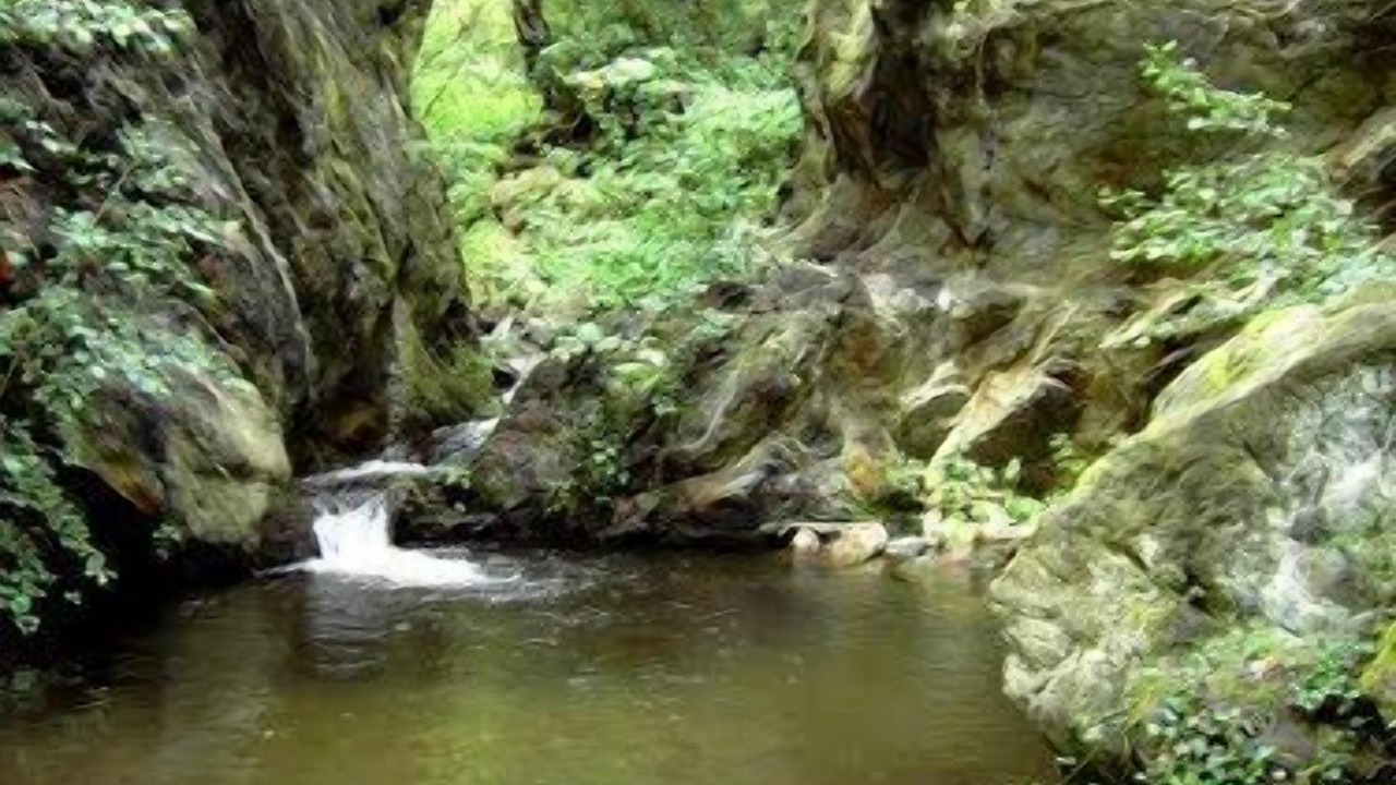 Photo of Outdoor in Taulis