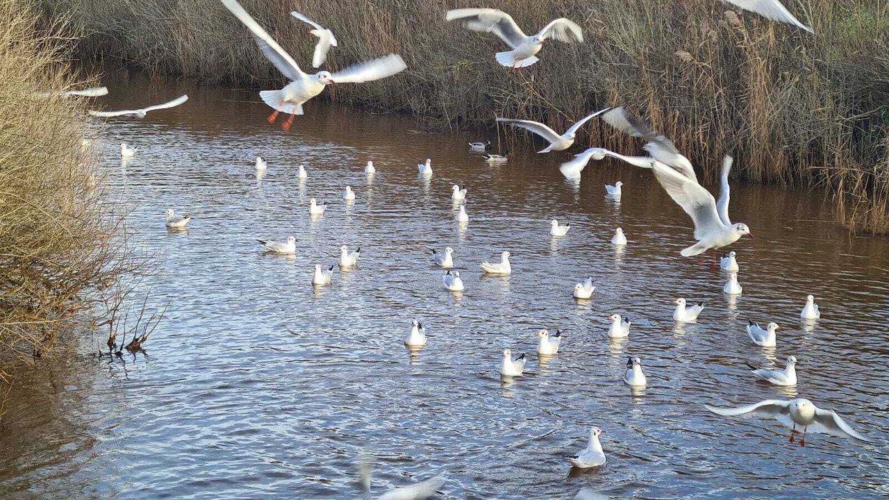 Photo of Outdoor in La Teste-de-Buch