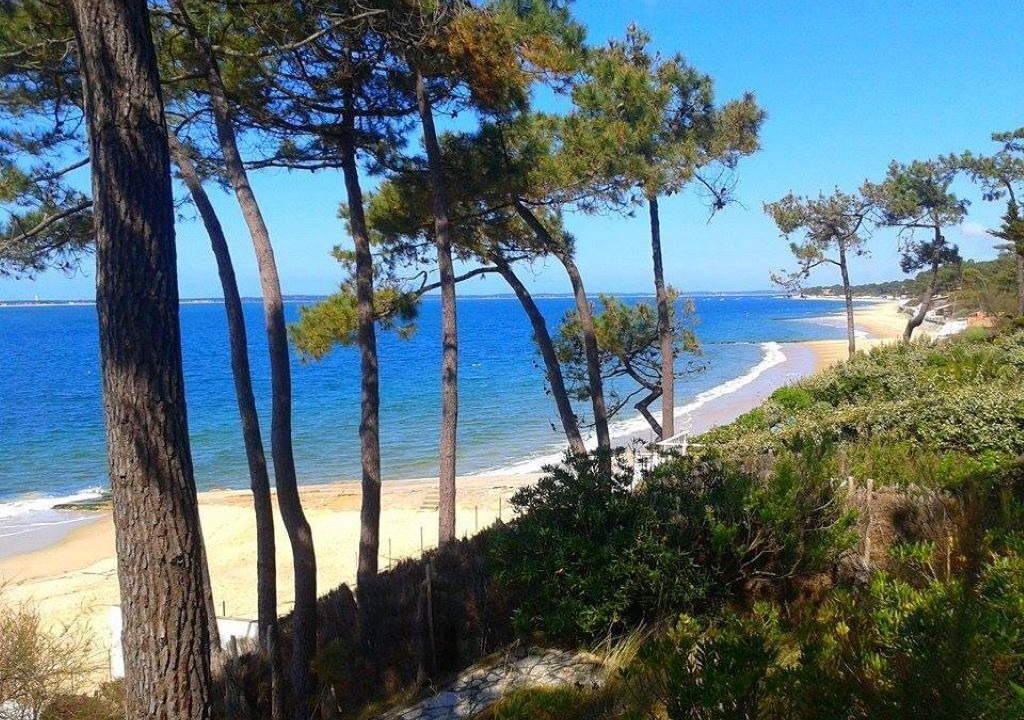 Photo of Others in La Teste-de-Buch