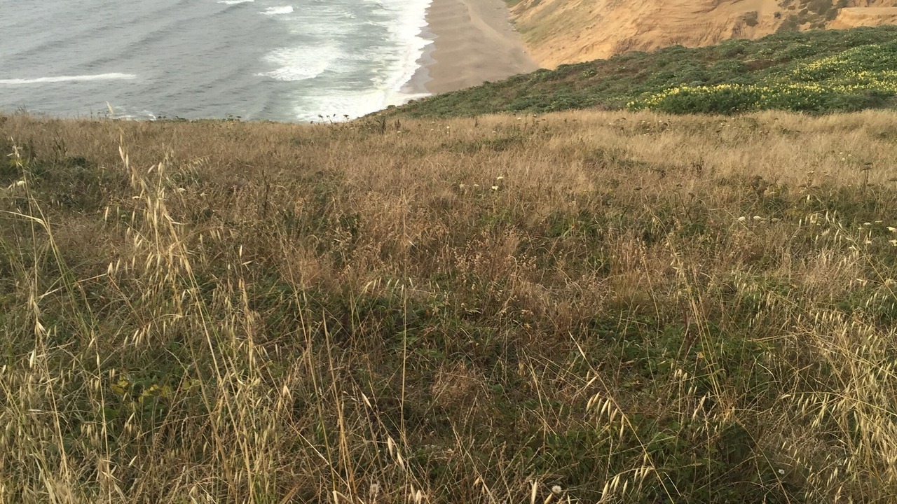 Photo of Others in Inverness