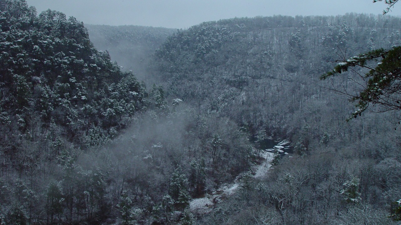 Photo of Outdoor in Fort Payne
