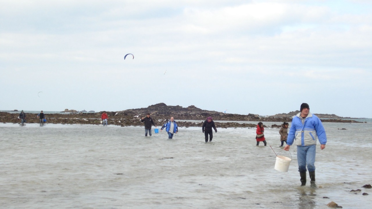 Photo of Others in Courtoisville-Sillon-Moka