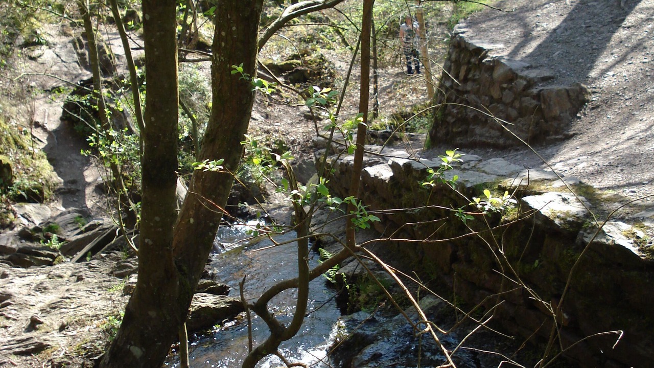 Photo of Outdoor in Courtoisville-Sillon-Moka