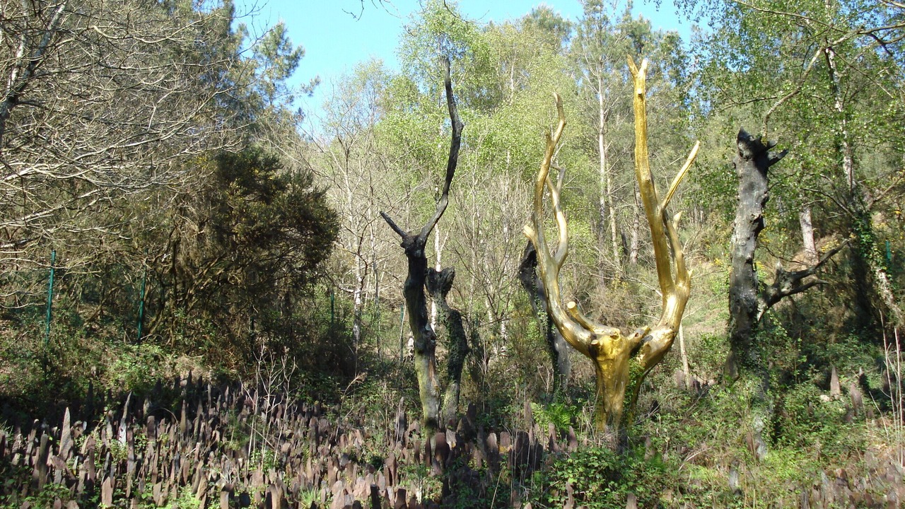 Photo of Outdoor in Courtoisville-Sillon-Moka