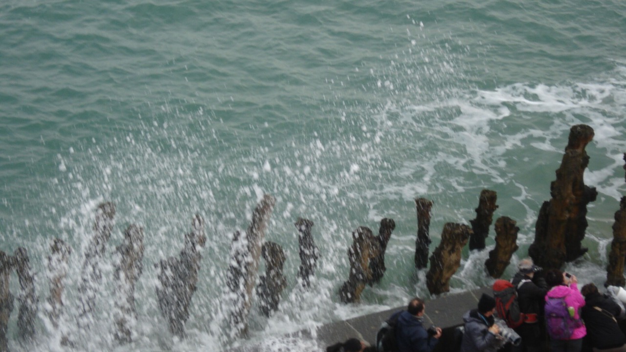 Photo of Others in Courtoisville-Sillon-Moka